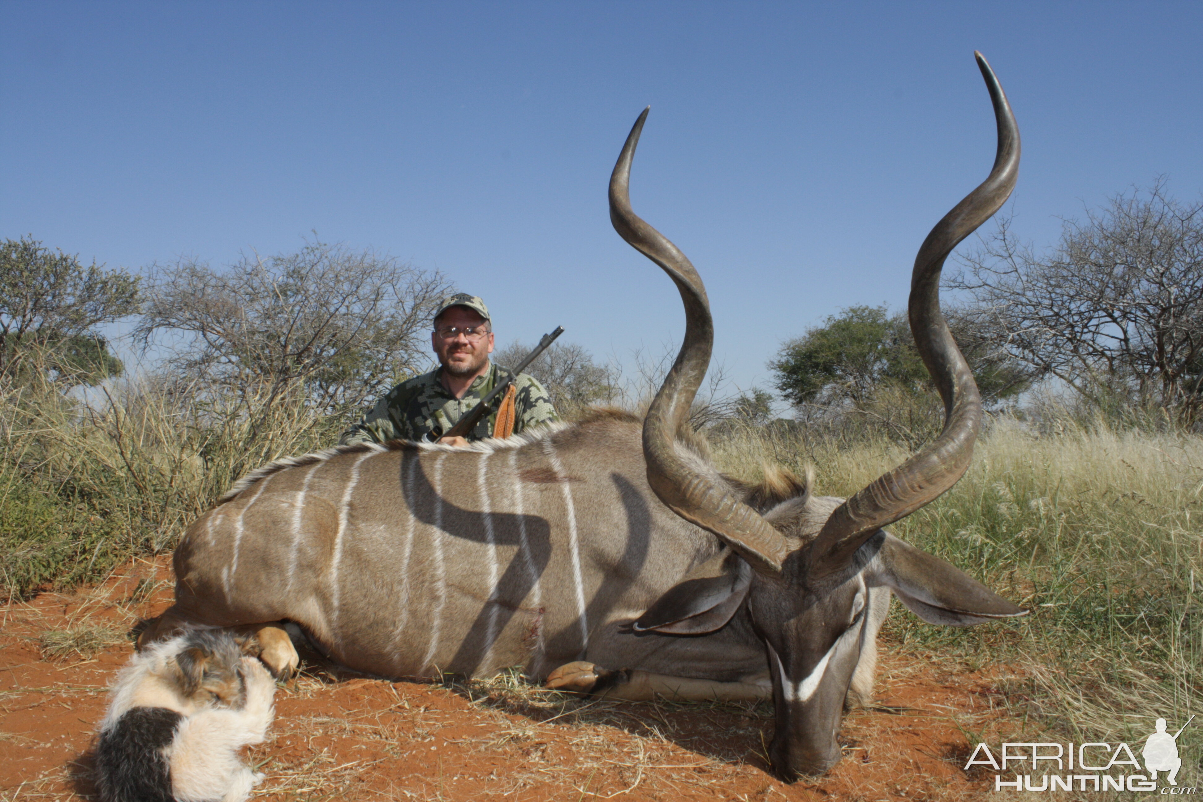 South Africa Hunting Kudu