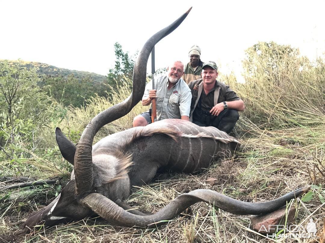 South Africa Hunting Kudu