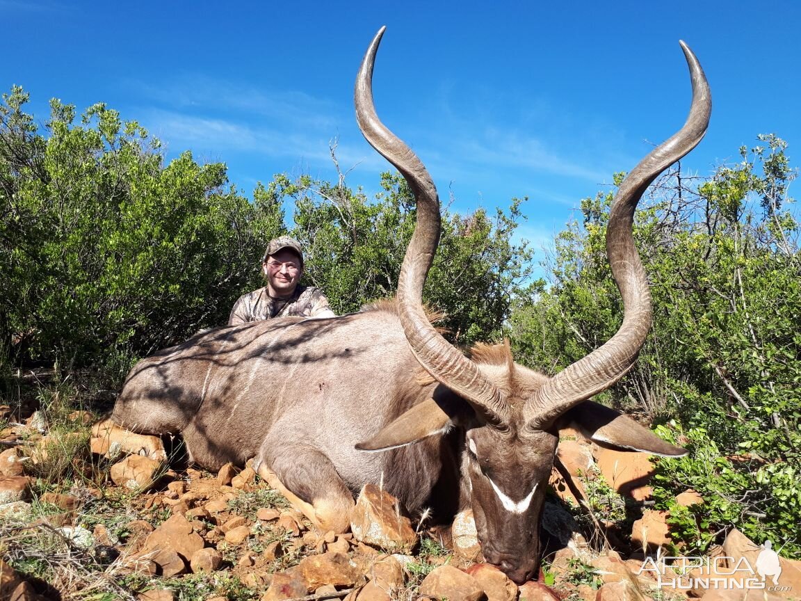 South Africa Hunting Kudu