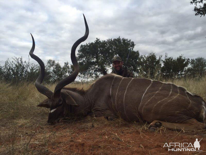 South Africa Hunting Kudu