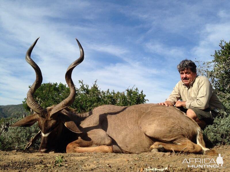 South Africa Hunting Kudu