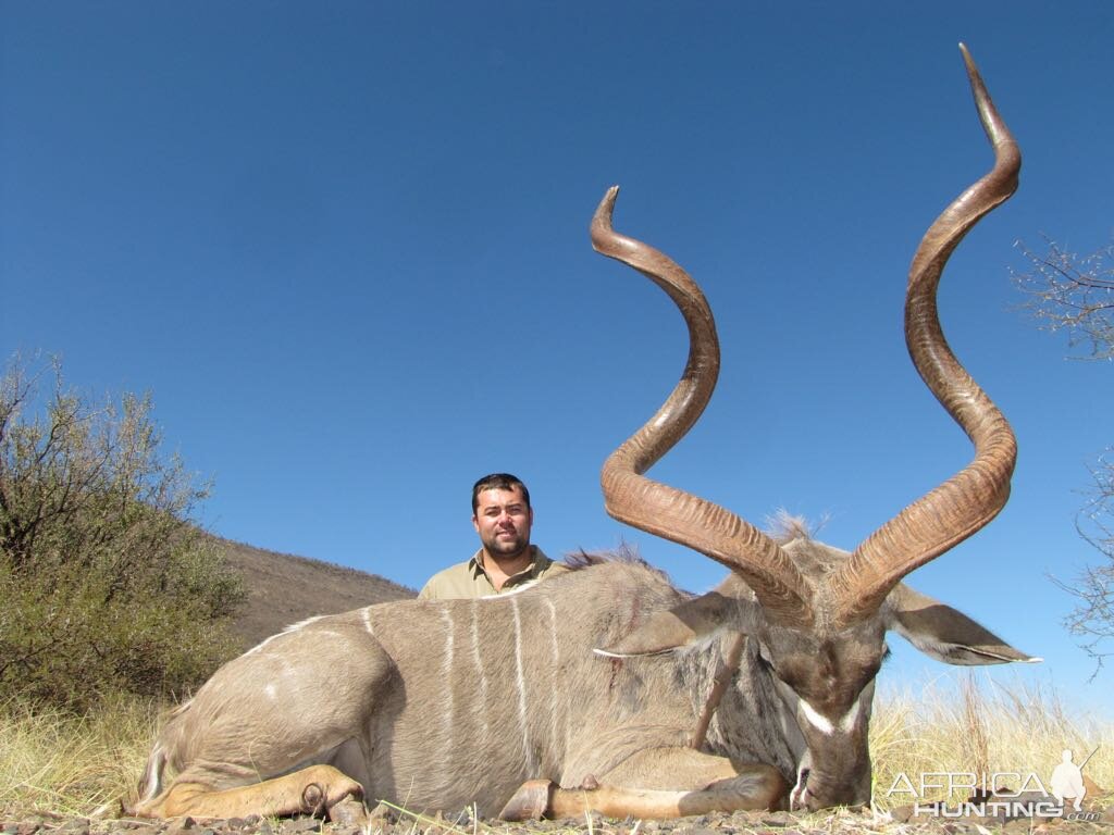 South Africa Hunting Kudu