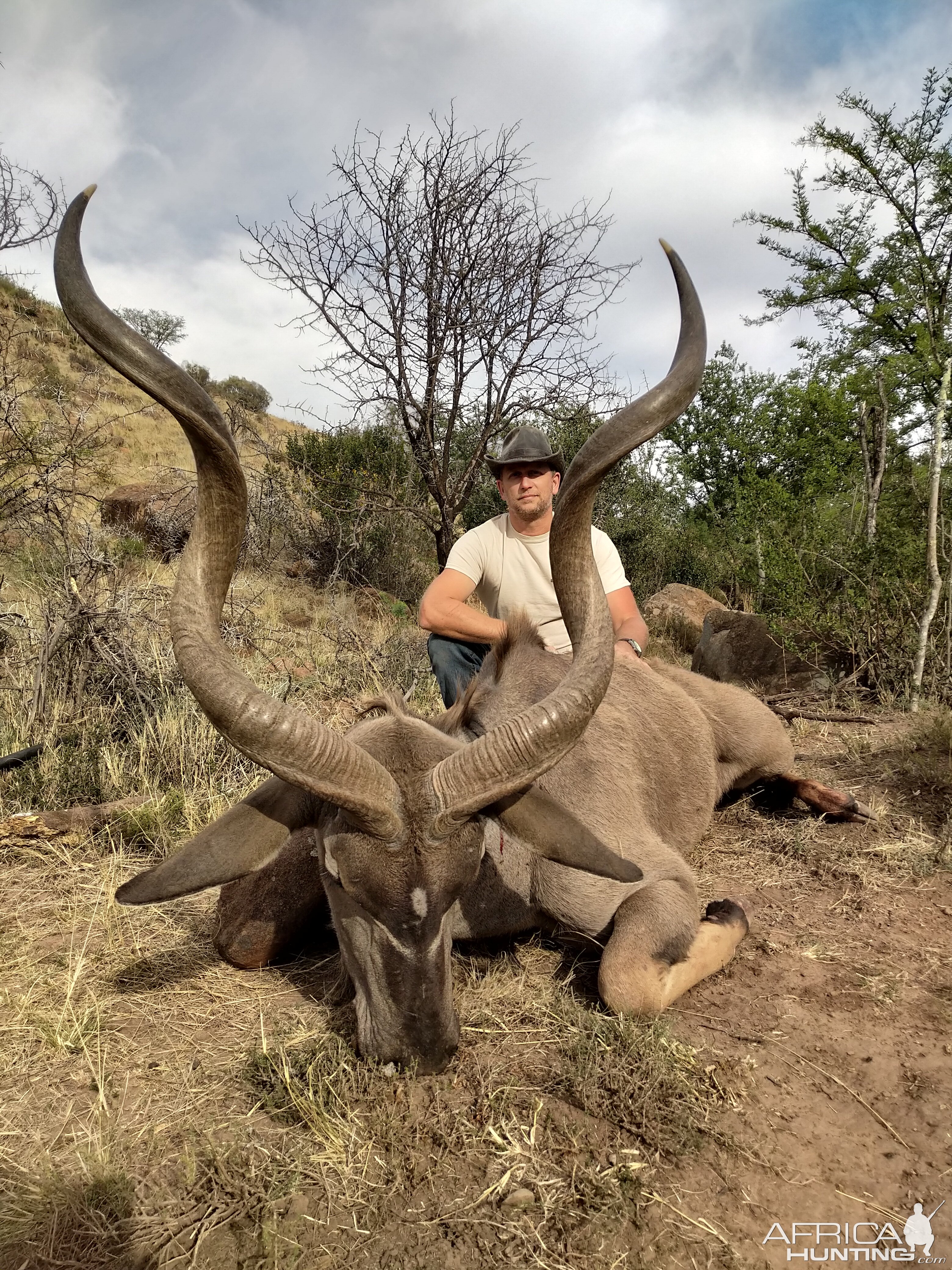 South Africa Hunting Kudu