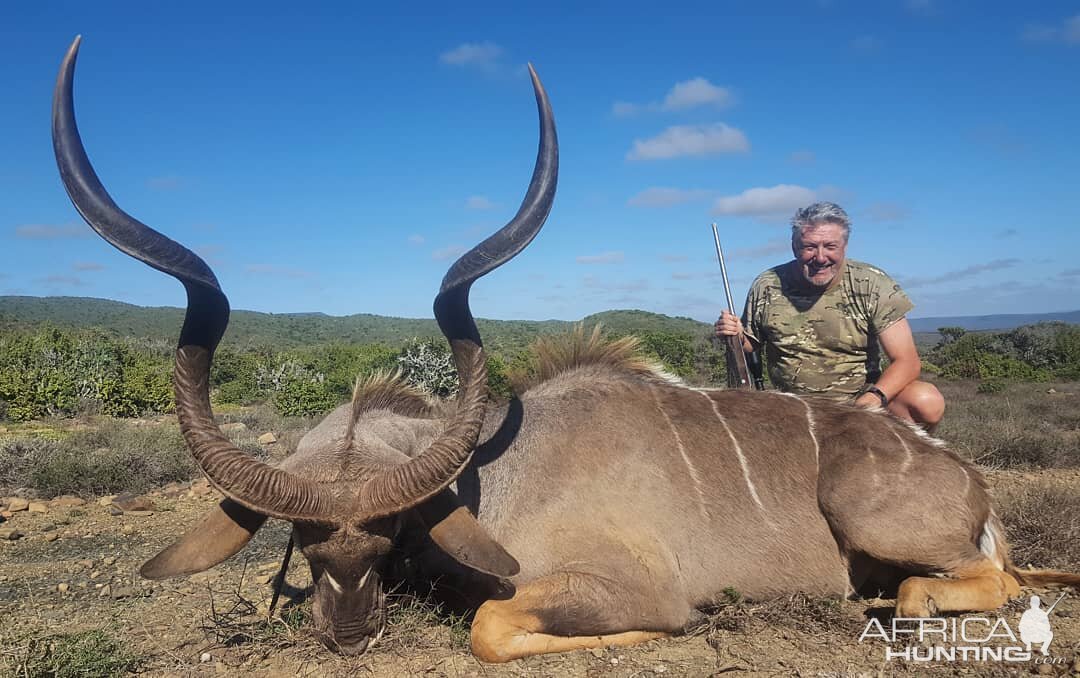 South Africa Hunting Kudu