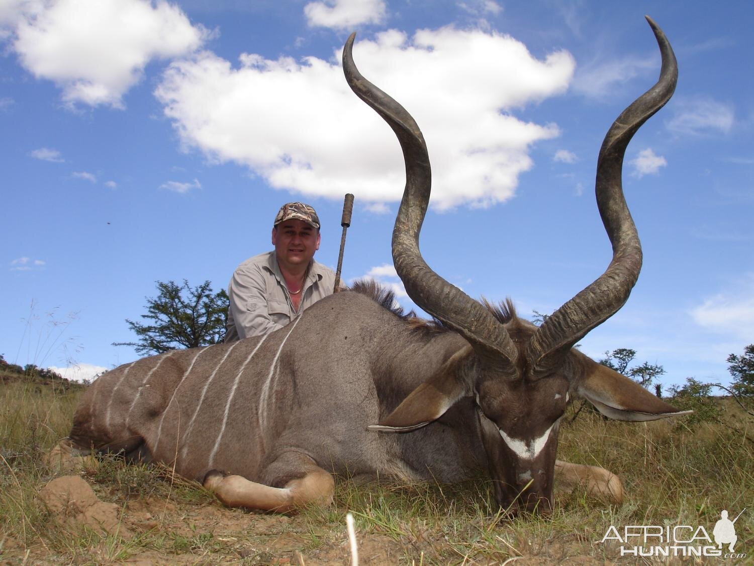 South Africa Hunting Kudu