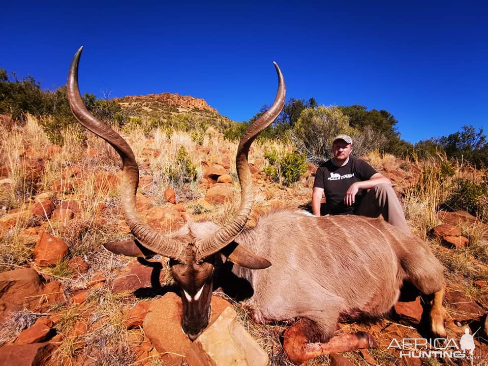 South Africa Hunting Kudu