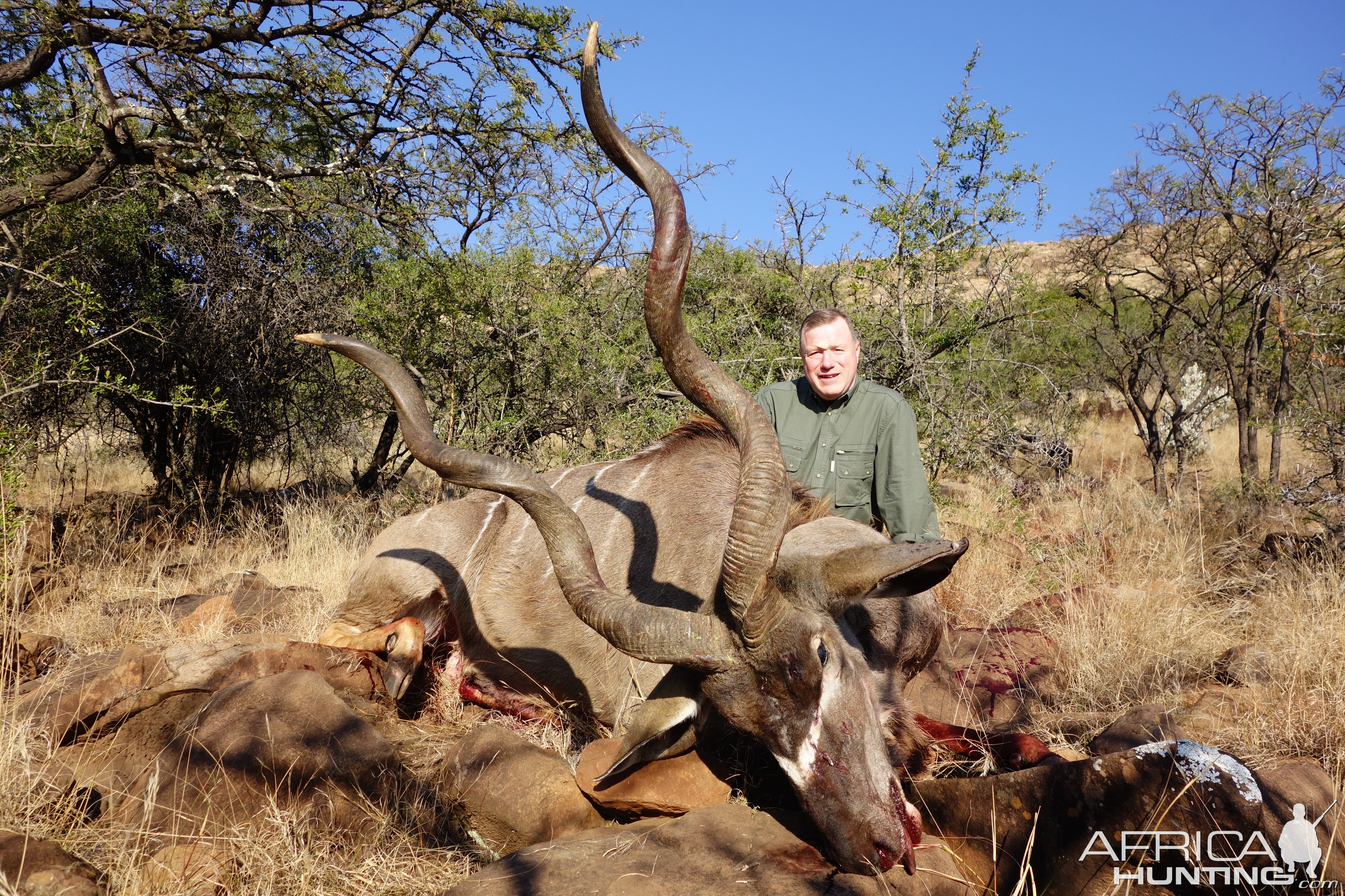 South Africa Hunting Kudu