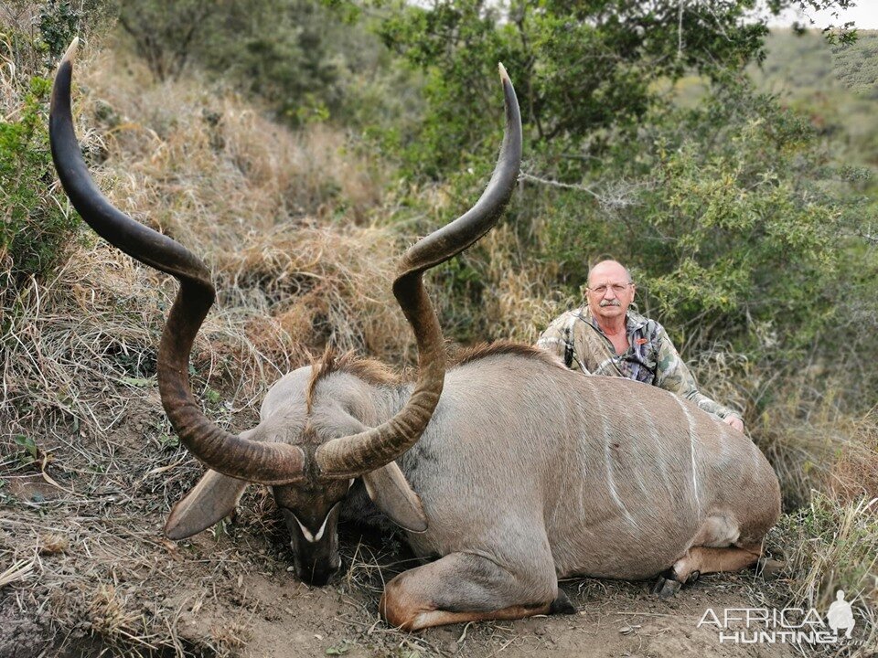 South Africa Hunting Kudu