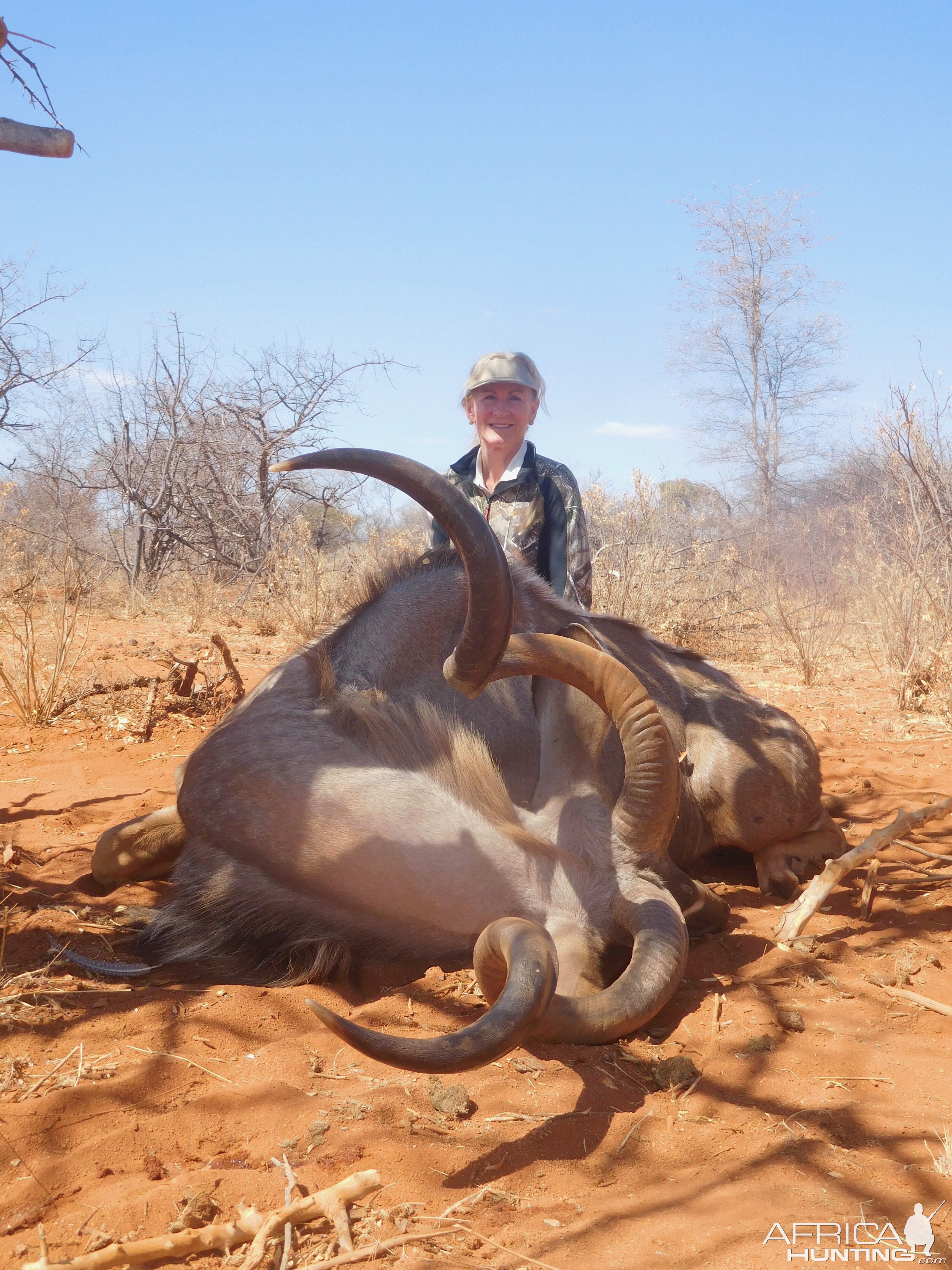 South Africa Hunting Kudu