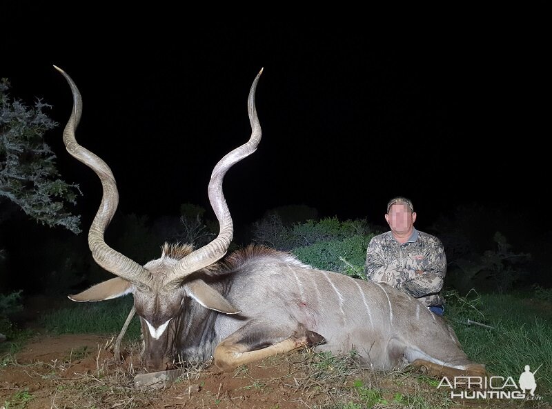 South Africa Hunting Kudu