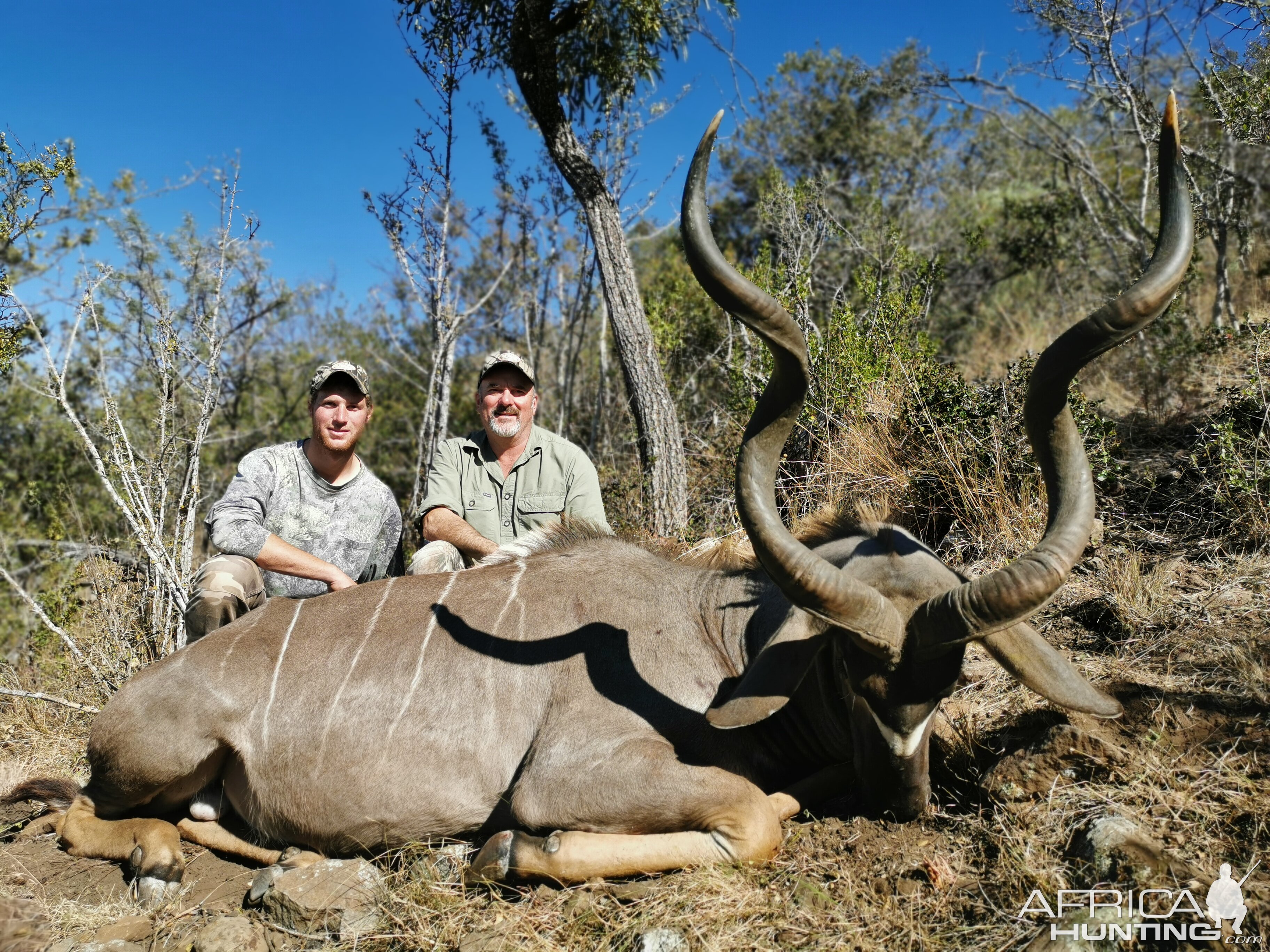 South Africa Hunting Kudu