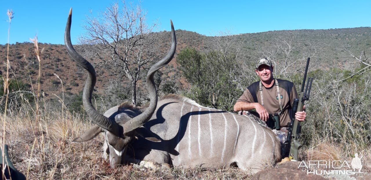 South Africa Hunting Kudu