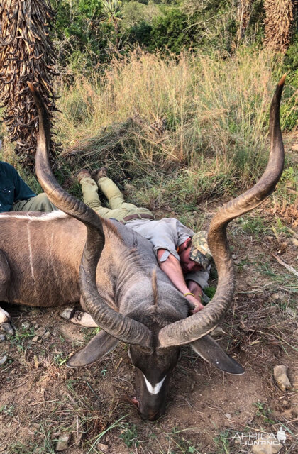 South Africa Hunting Kudu