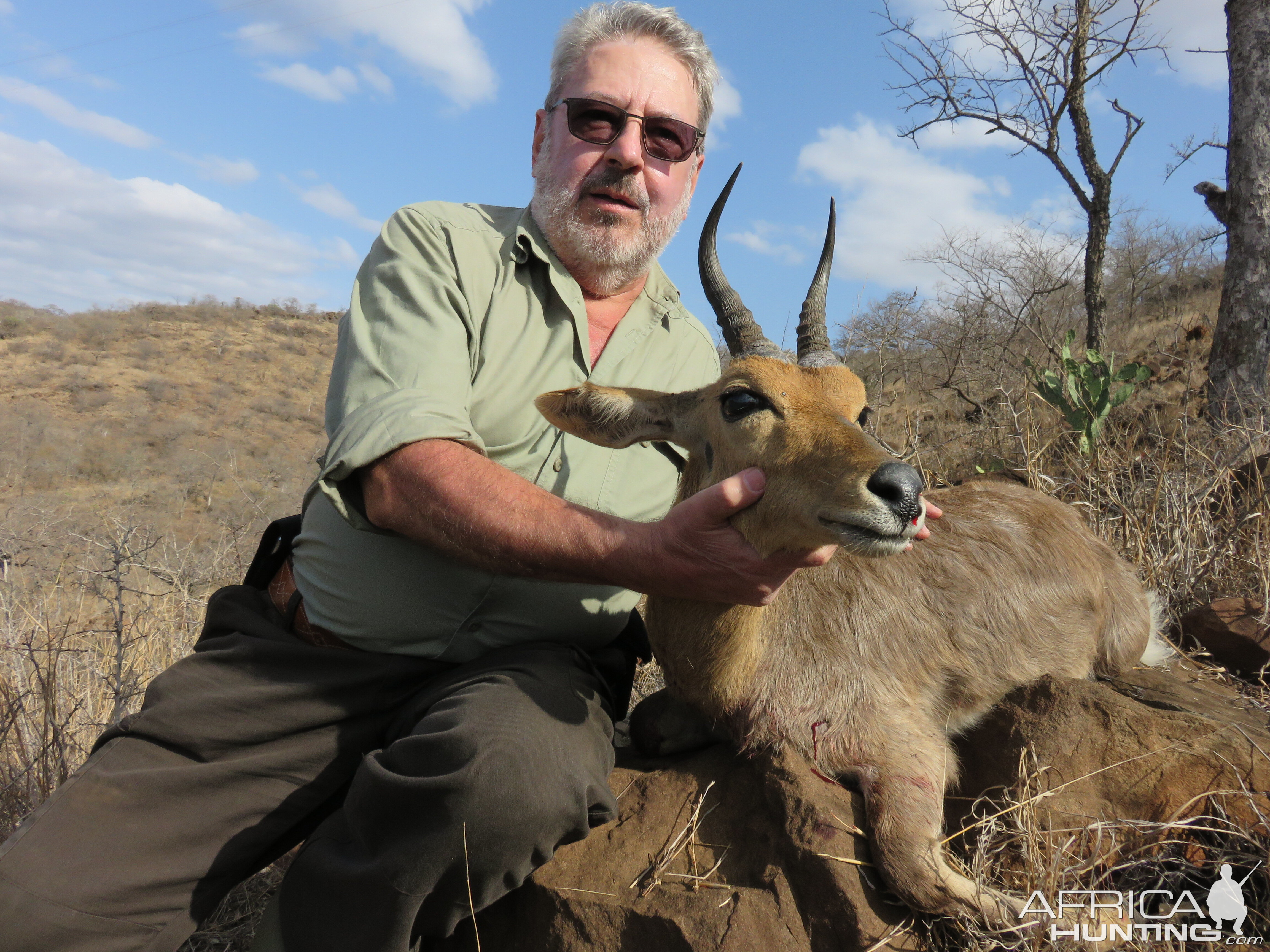 South Africa Hunting Mountain Reedbuck