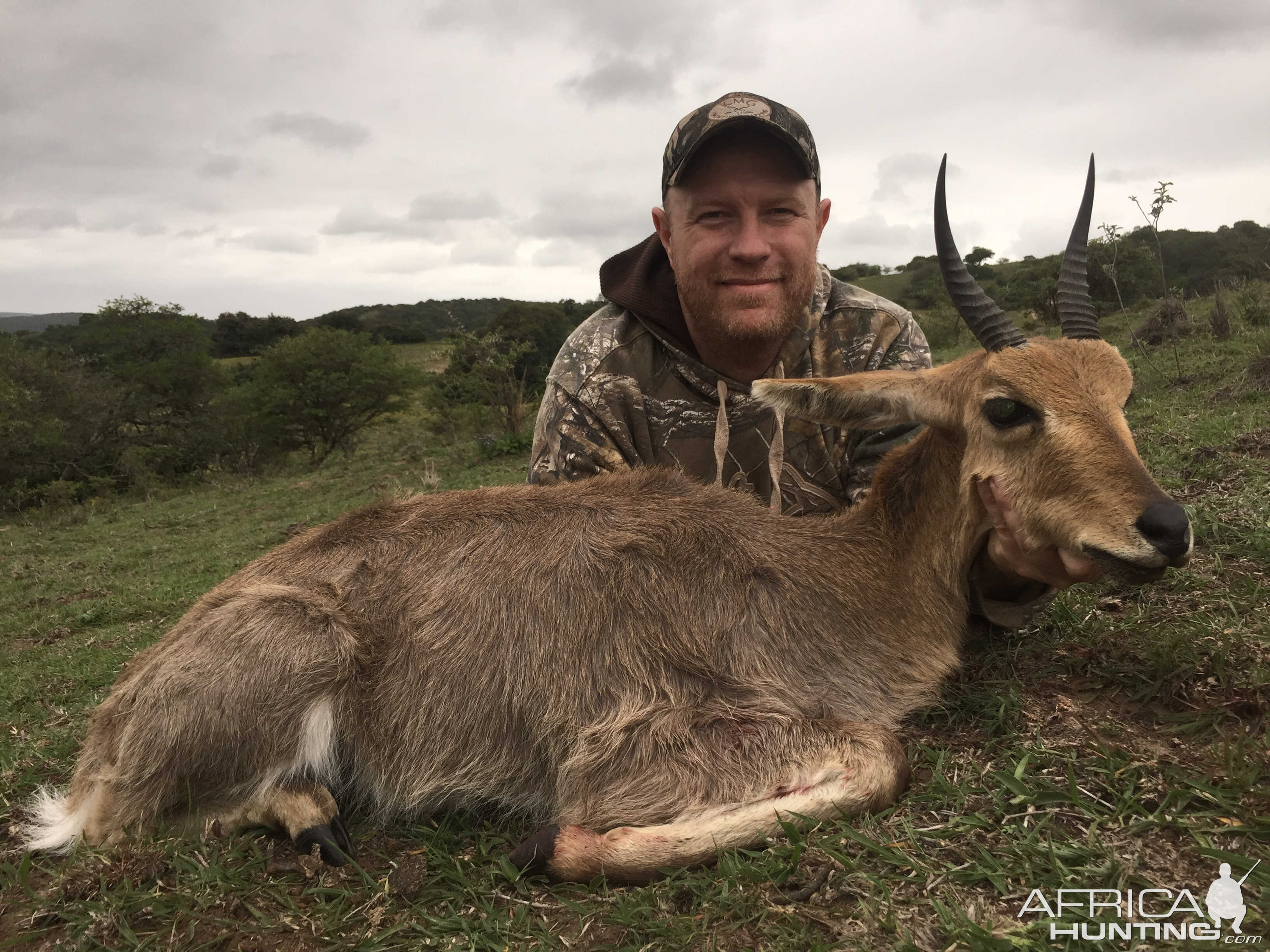 South Africa Hunting Mountain Reedbuck