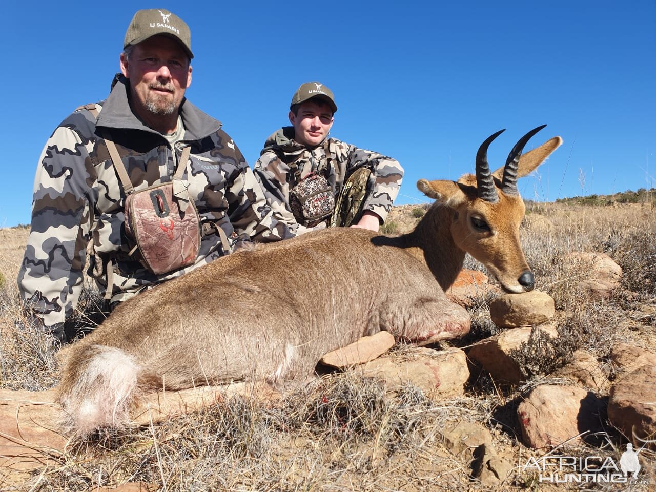 South Africa Hunting Mountain Reedbuck