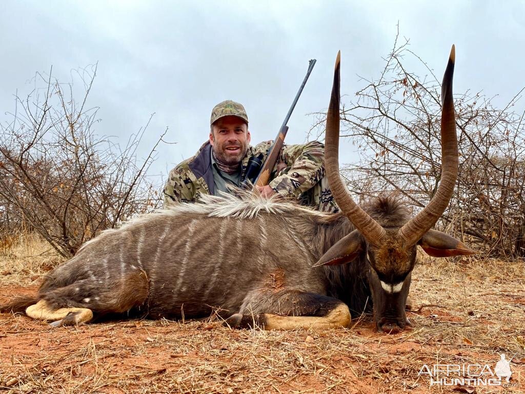 South Africa Hunting Nyala