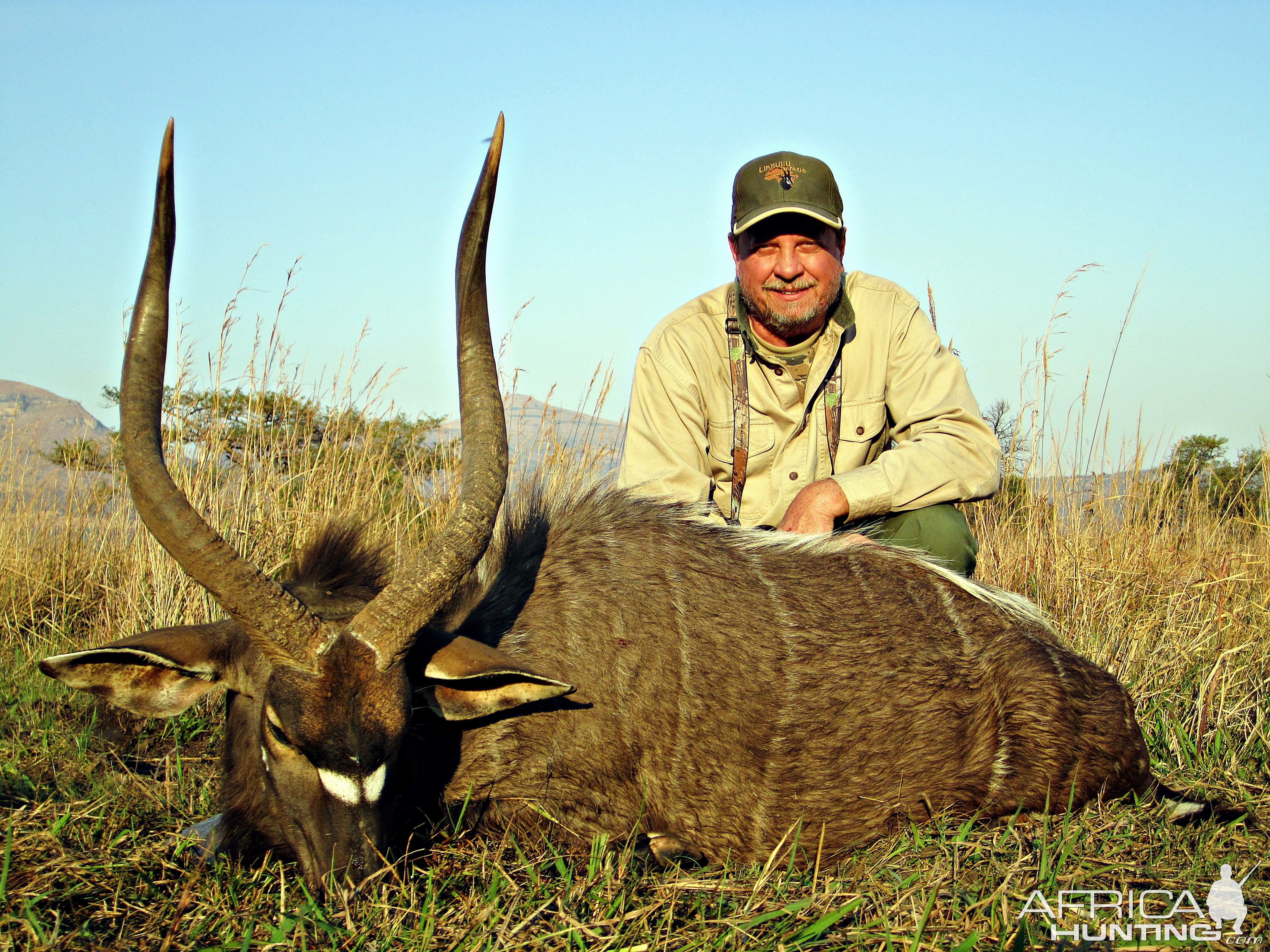 South Africa Hunting Nyala