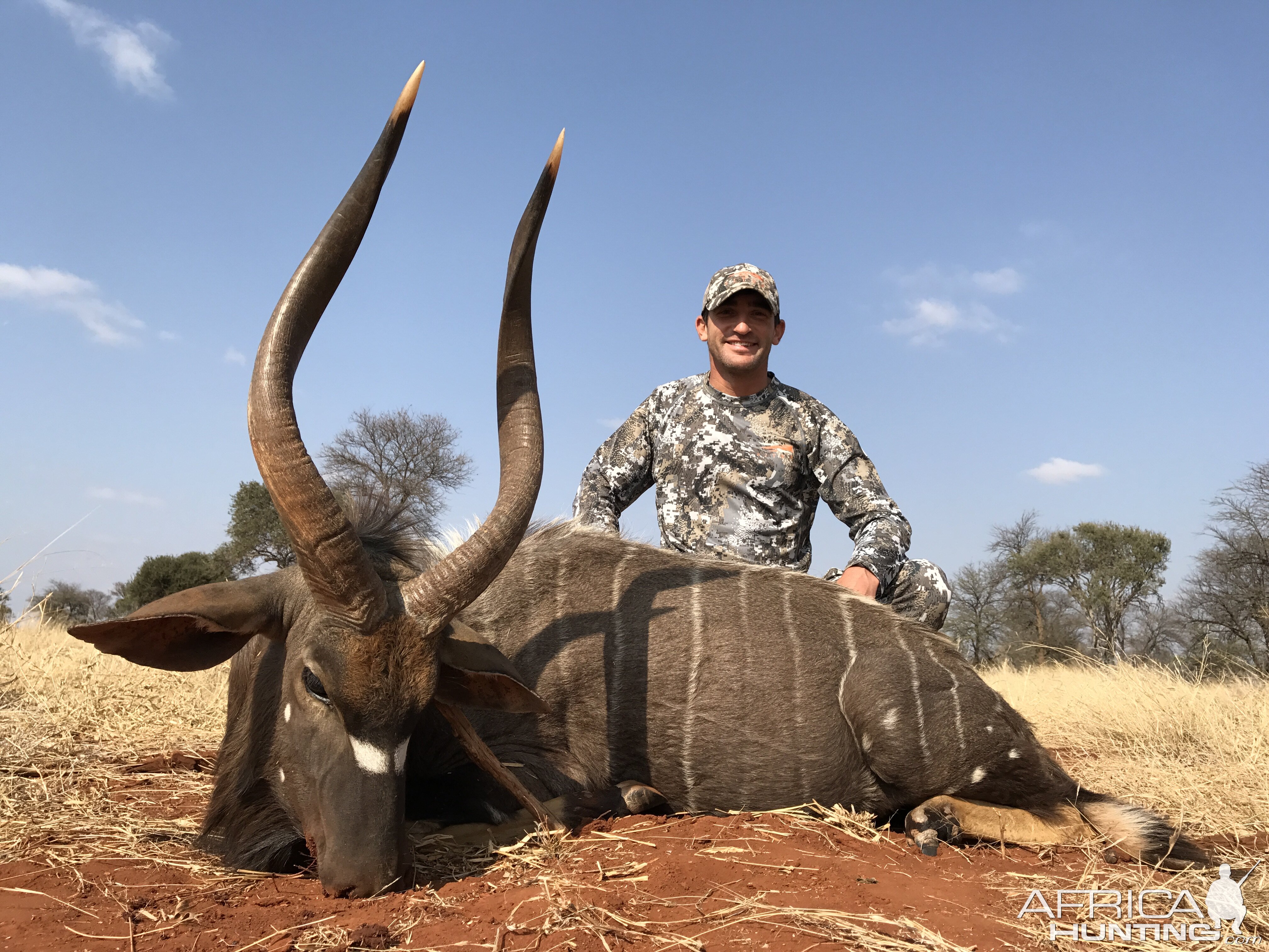 South Africa Hunting Nyala