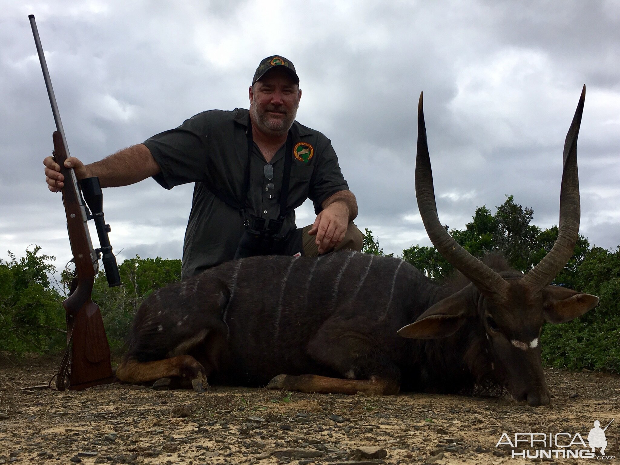 South Africa Hunting Nyala