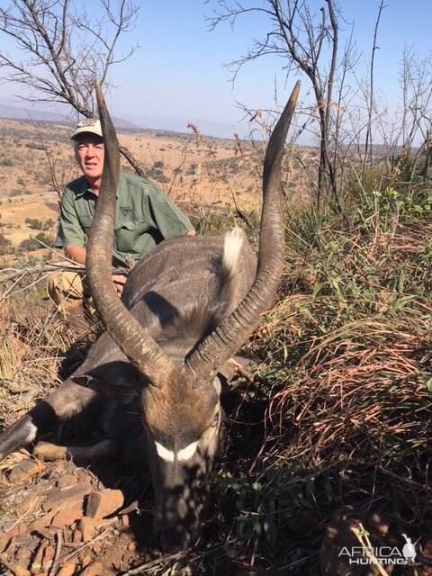 South Africa Hunting Nyala