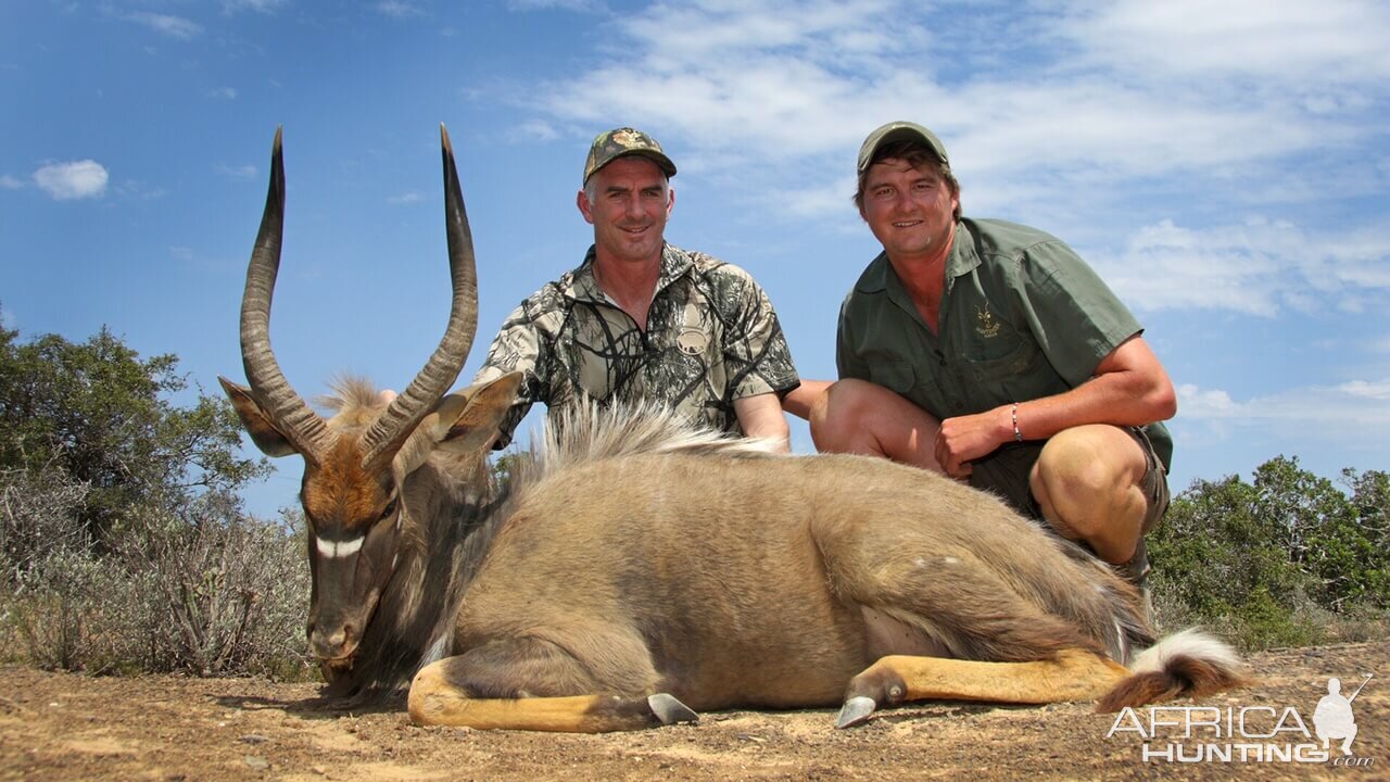 South Africa Hunting Nyala