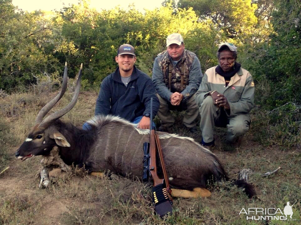 South Africa Hunting Nyala