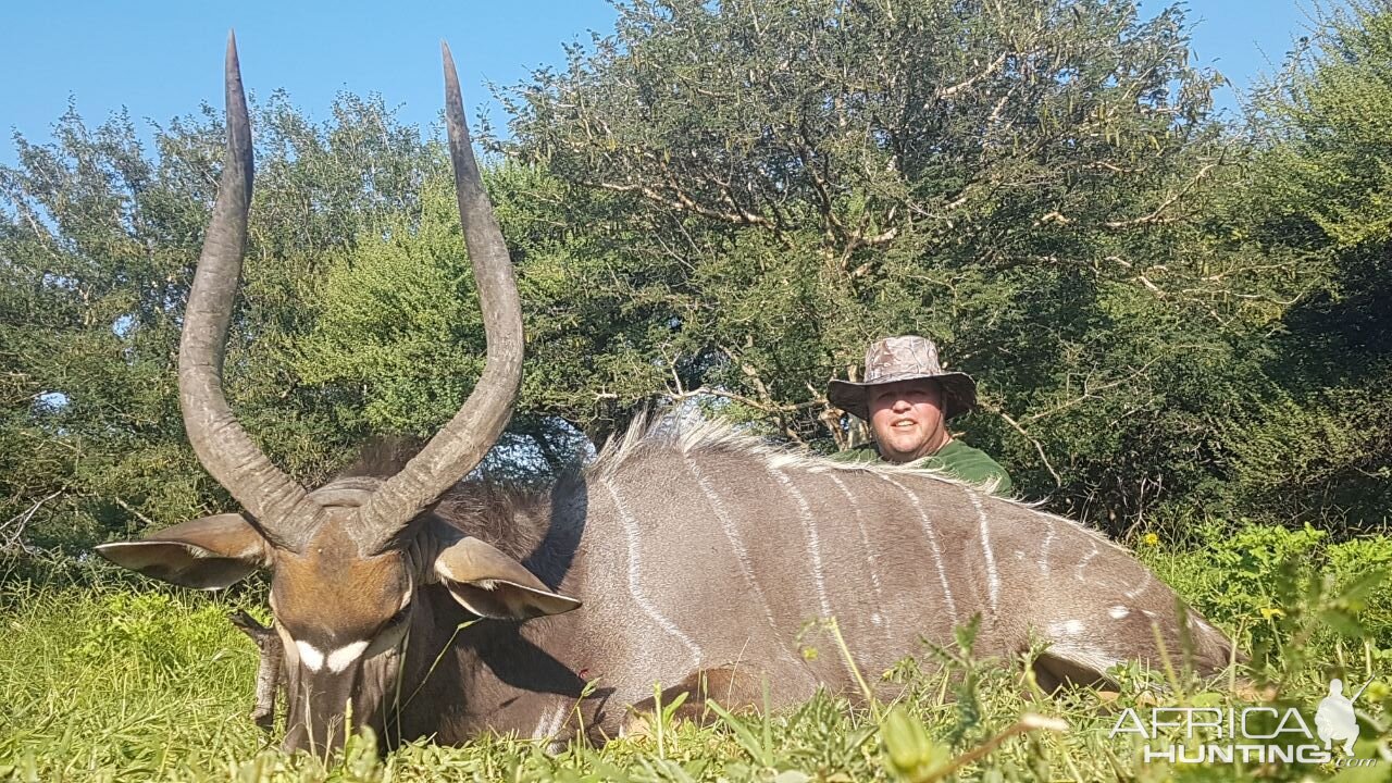 South Africa Hunting Nyala