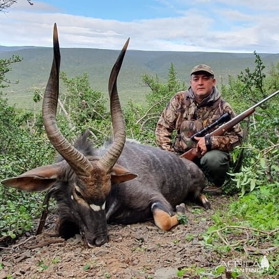 South Africa Hunting Nyala