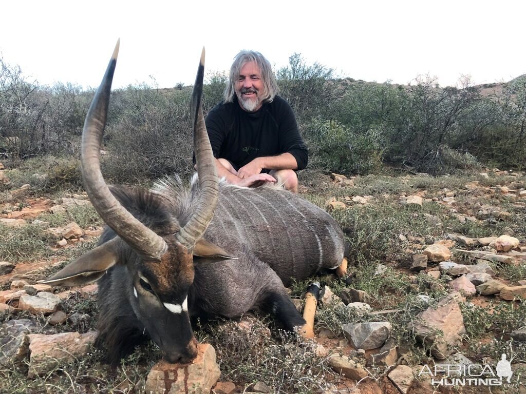 South Africa Hunting Nyala