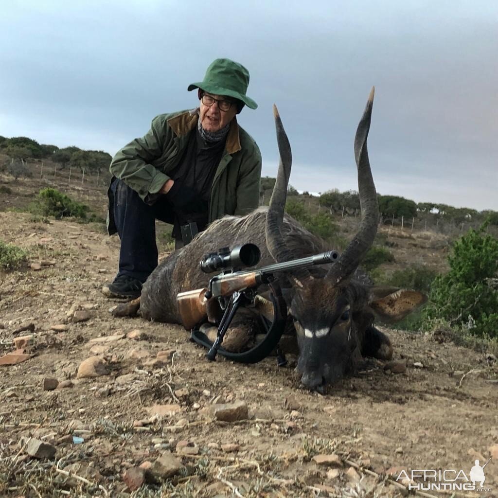 South Africa Hunting Nyala