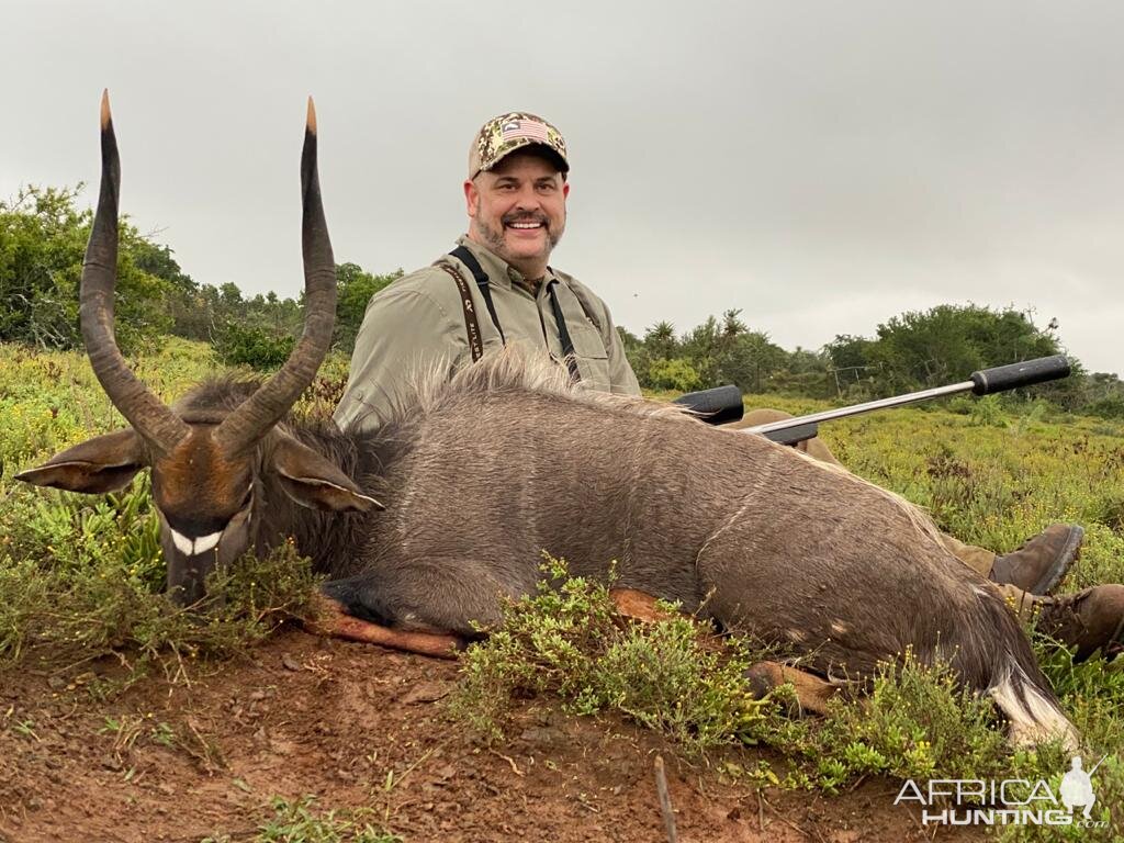 South Africa Hunting Nyala