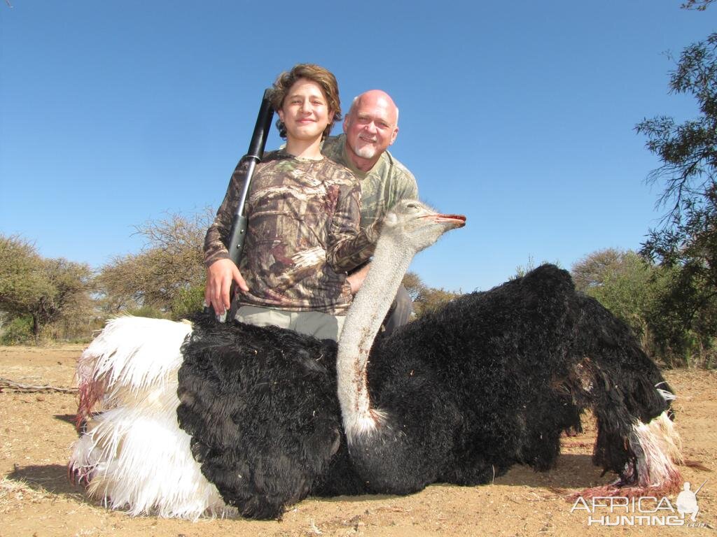 South Africa Hunting Ostrich