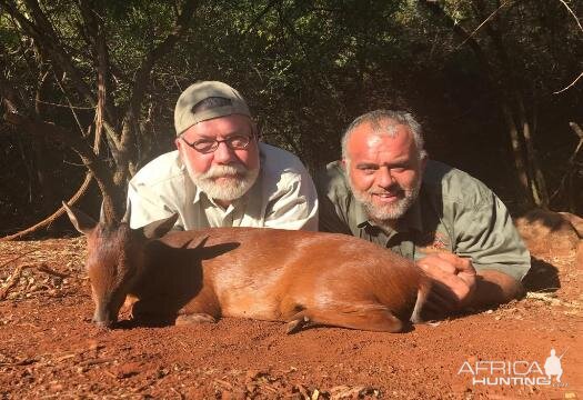 South Africa Hunting Red Duiker