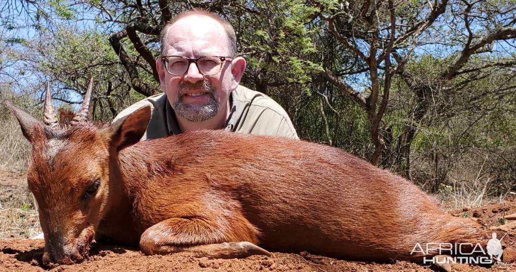 South Africa Hunting Red Duiker