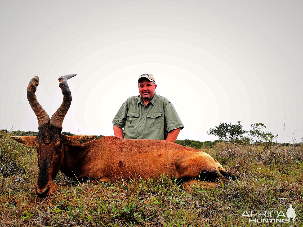 South Africa Hunting Red Hartebeest