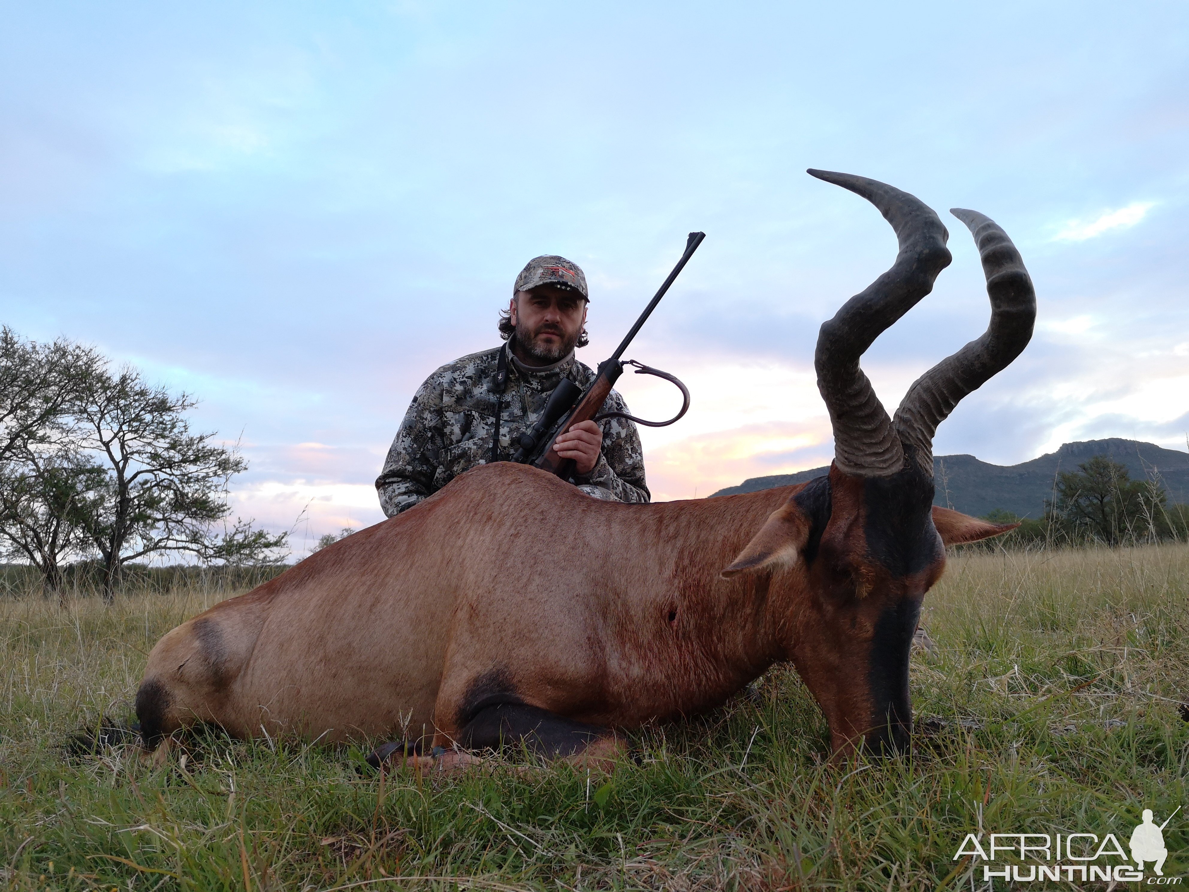 South Africa Hunting Red Hartebeest