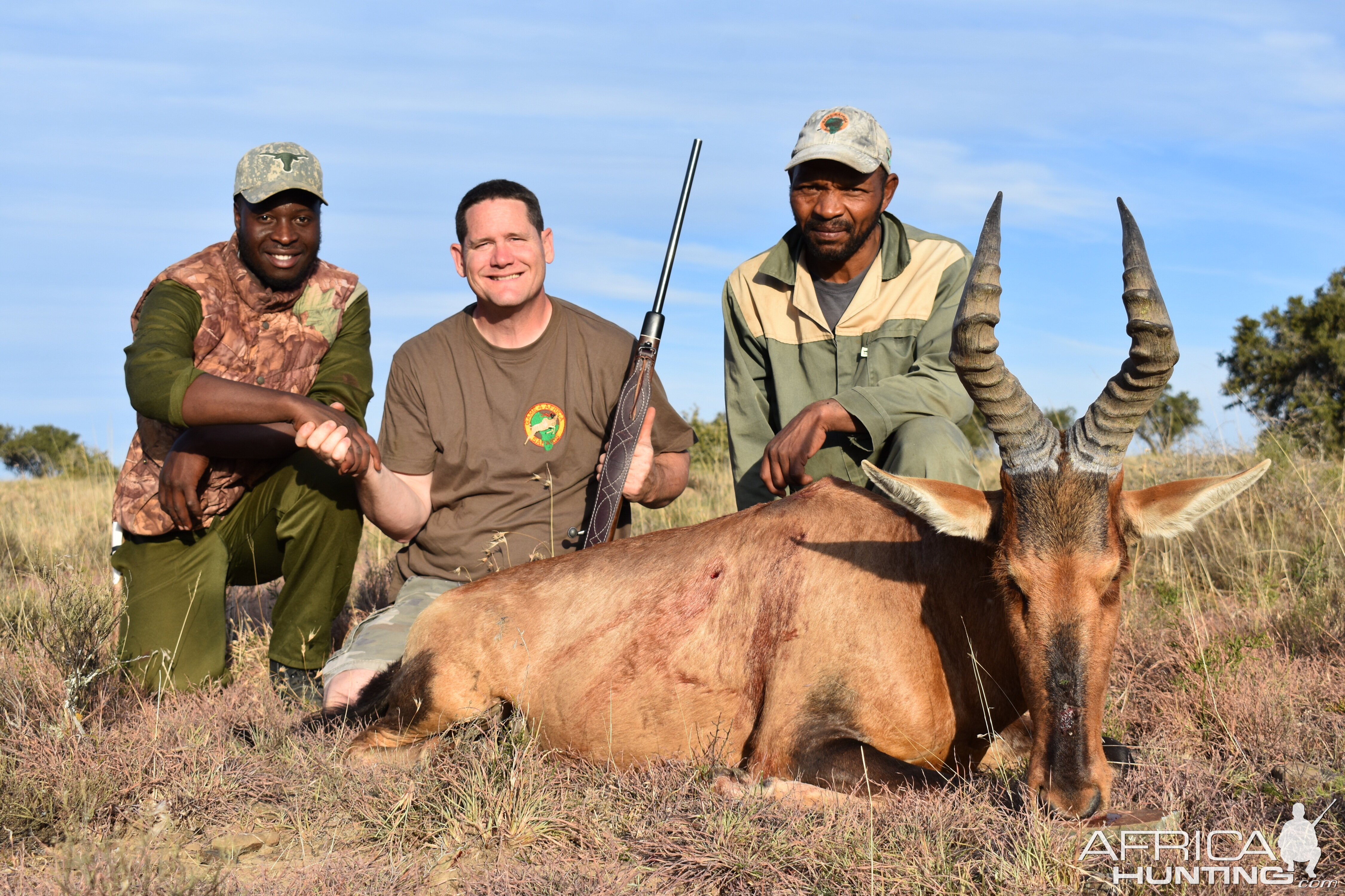 South Africa Hunting Red Hartebeest