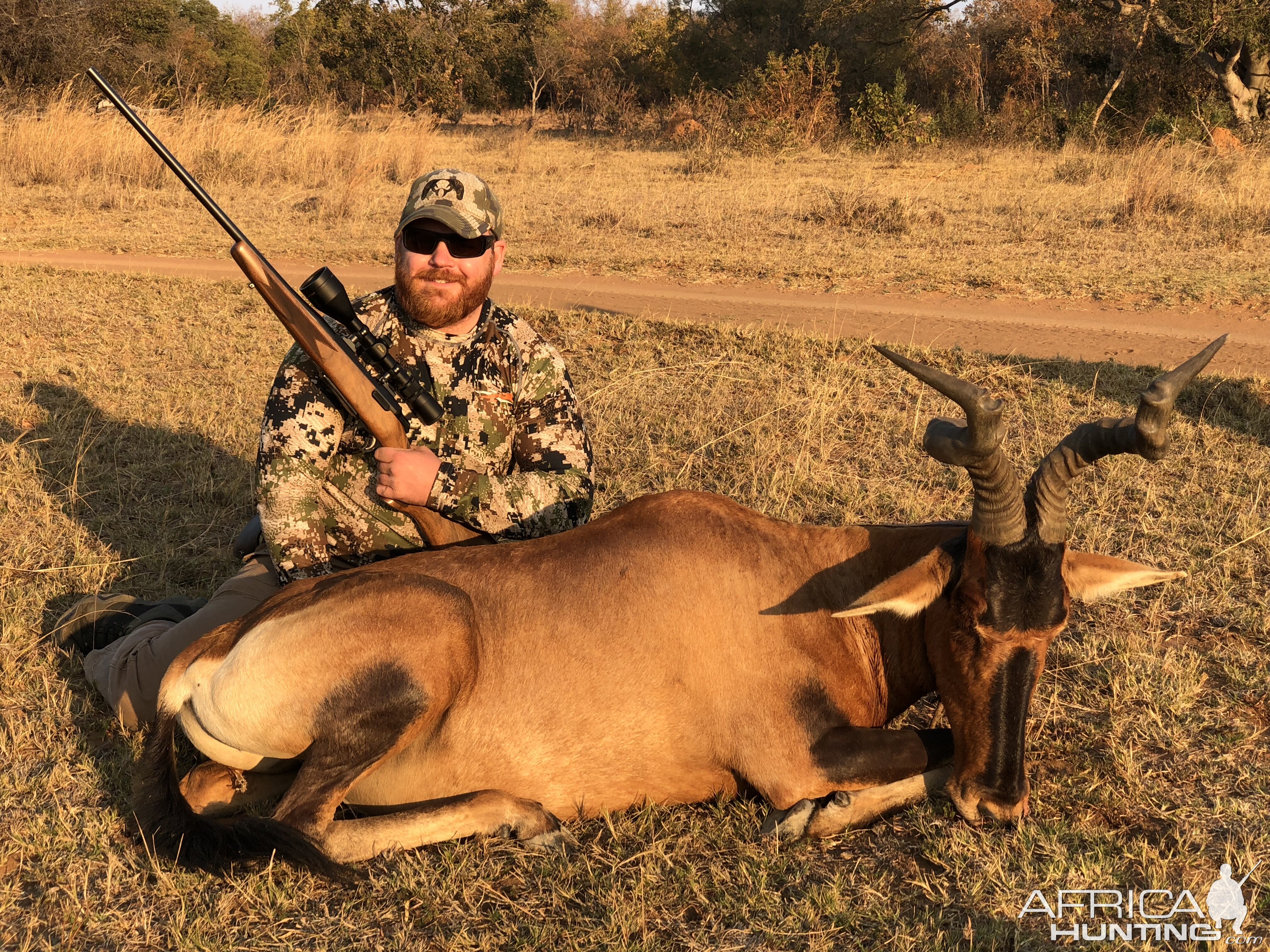 South Africa Hunting Red Hartebeest