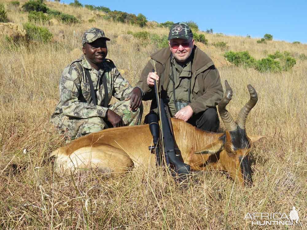 South Africa Hunting Red Hartebeest