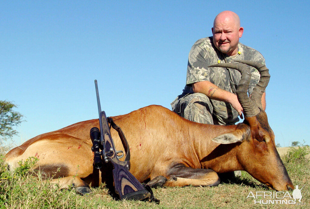 South Africa Hunting Red Hartebeest