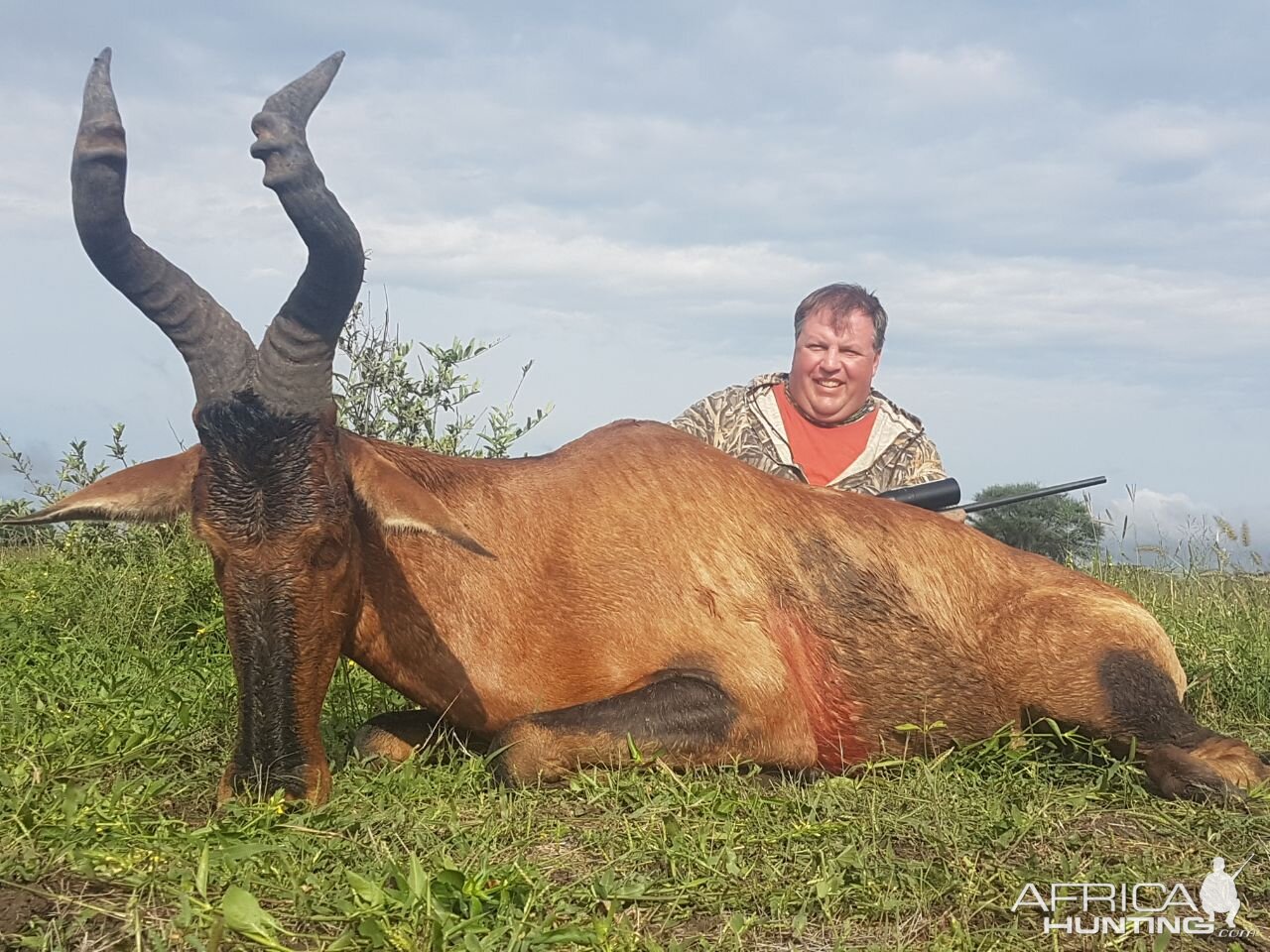 South Africa Hunting Red Hartebeest