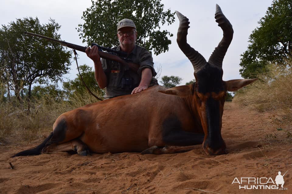 South Africa Hunting Red Hartebeest