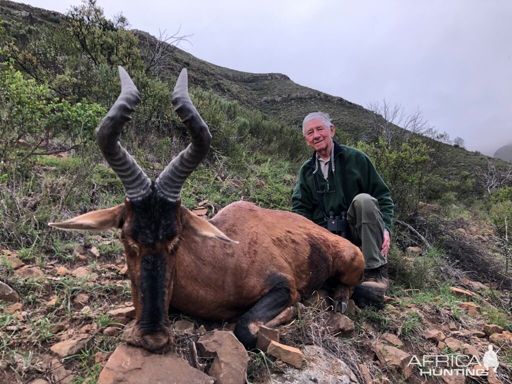 South Africa Hunting Red Hartebeest