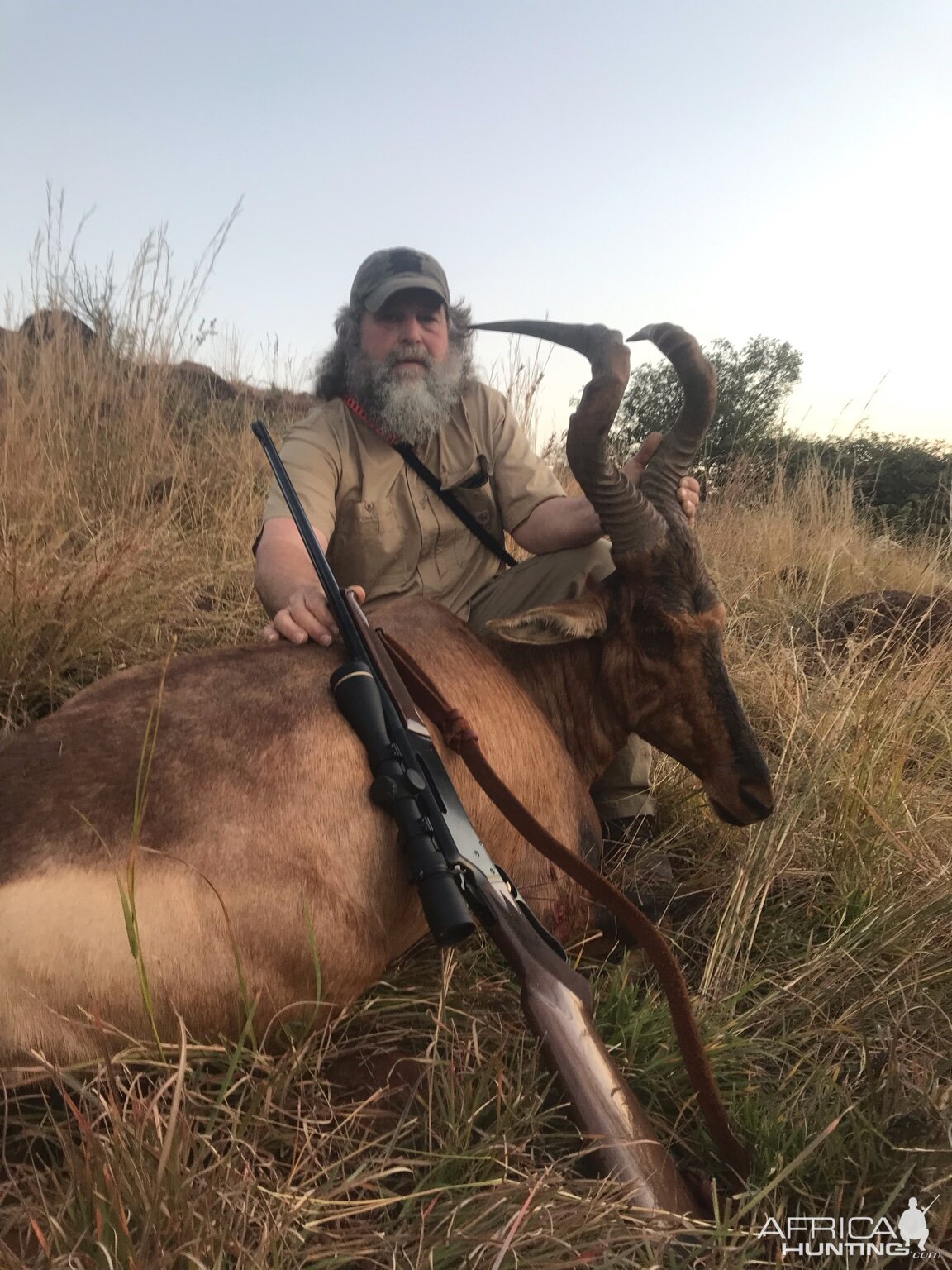 South Africa Hunting Red Hartebeest