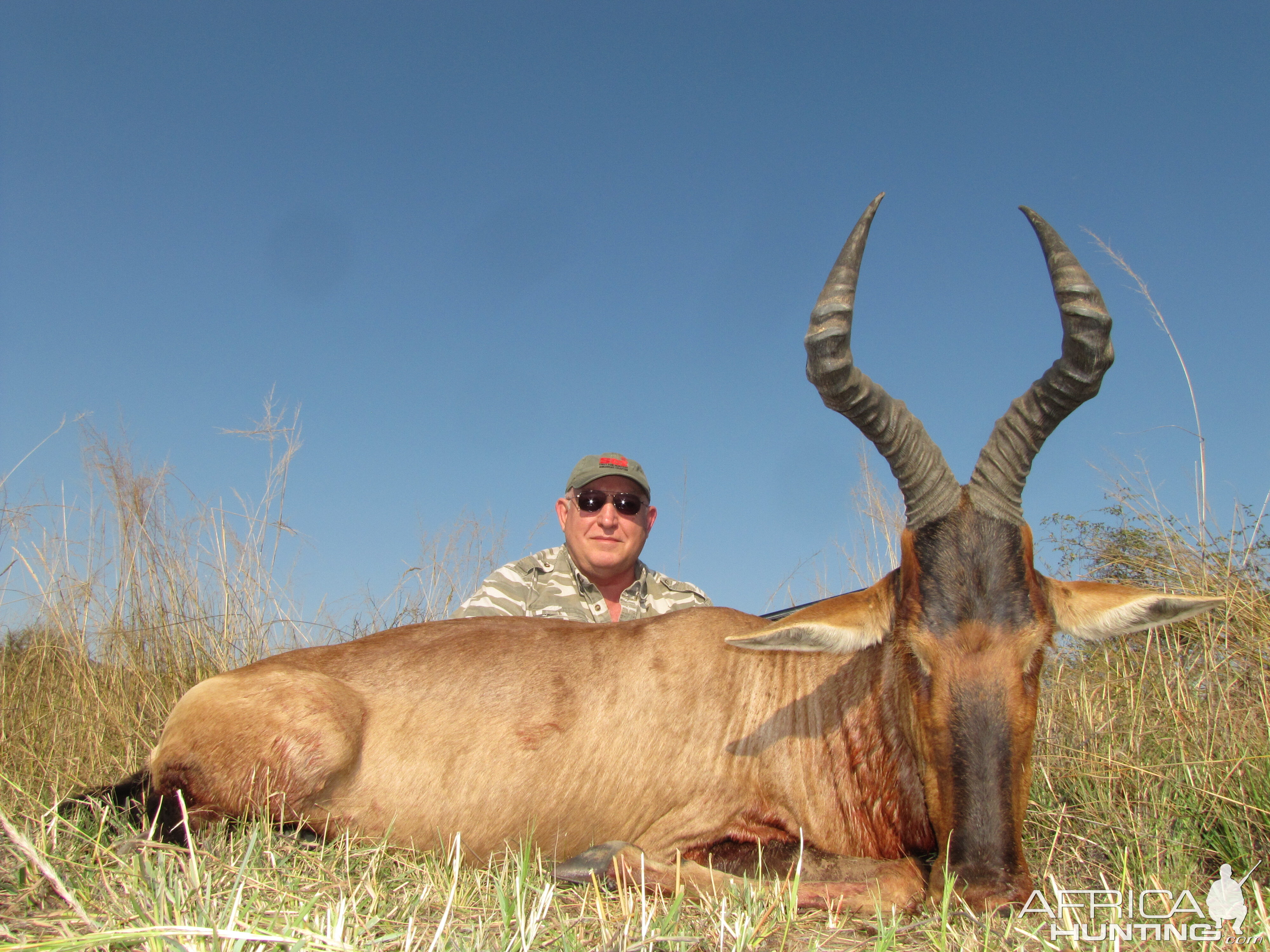 South Africa Hunting Red Hartebeest