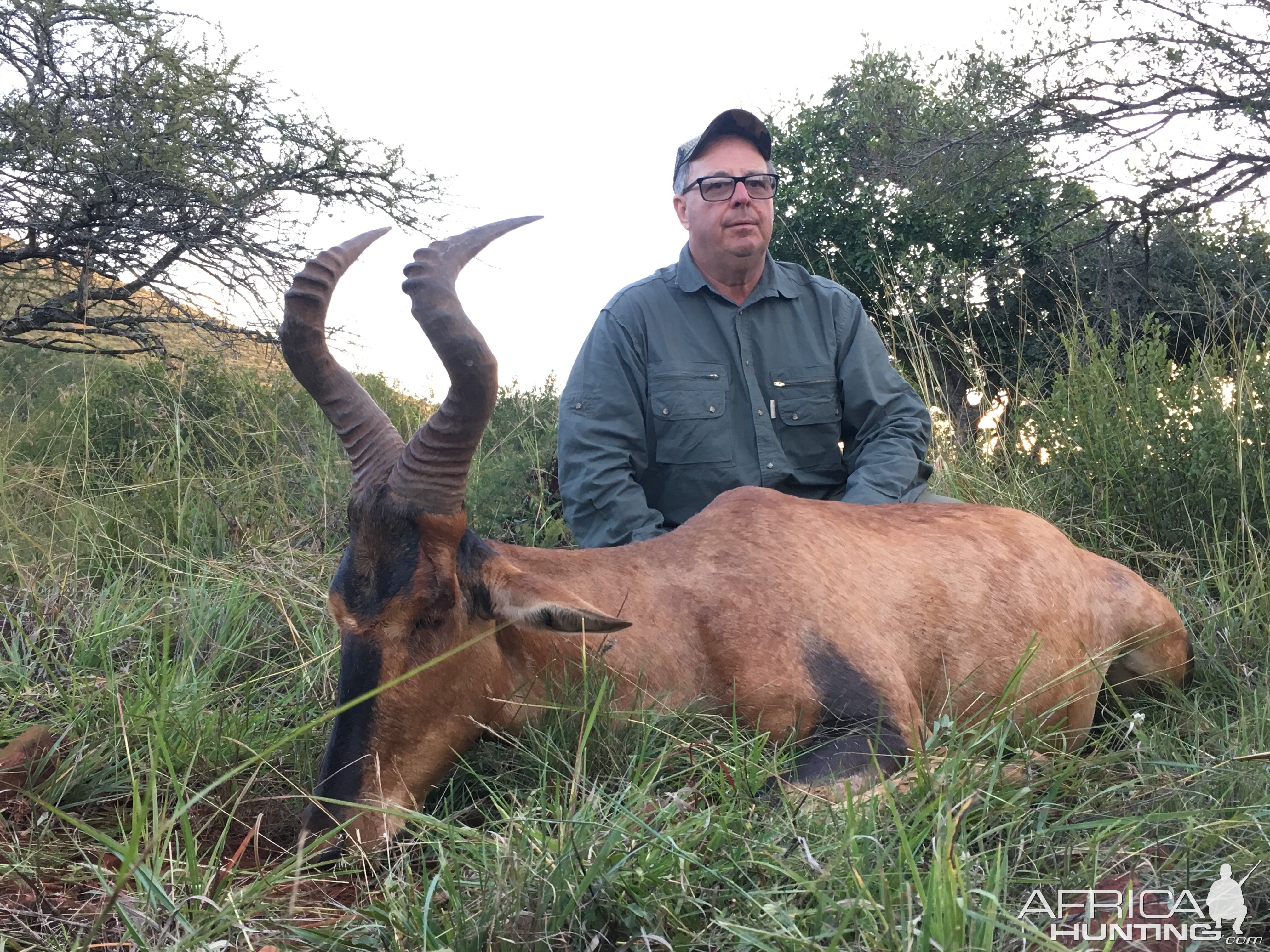 South Africa Hunting Red Hartebeest