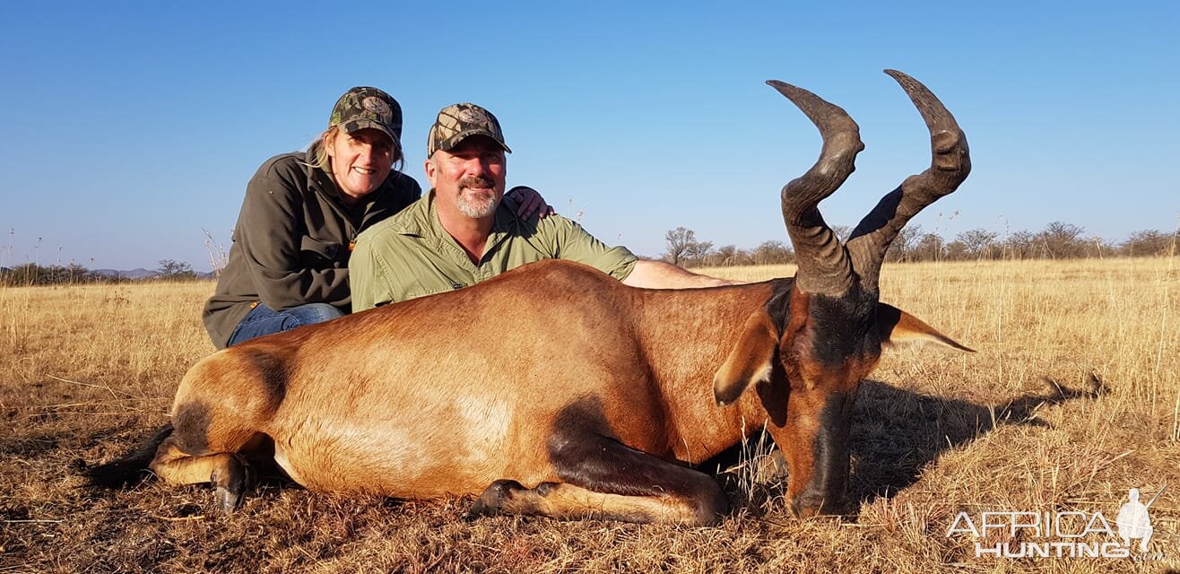 South Africa Hunting Red Hartebeest