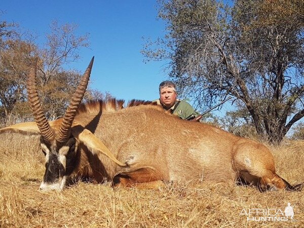 South Africa Hunting Roan