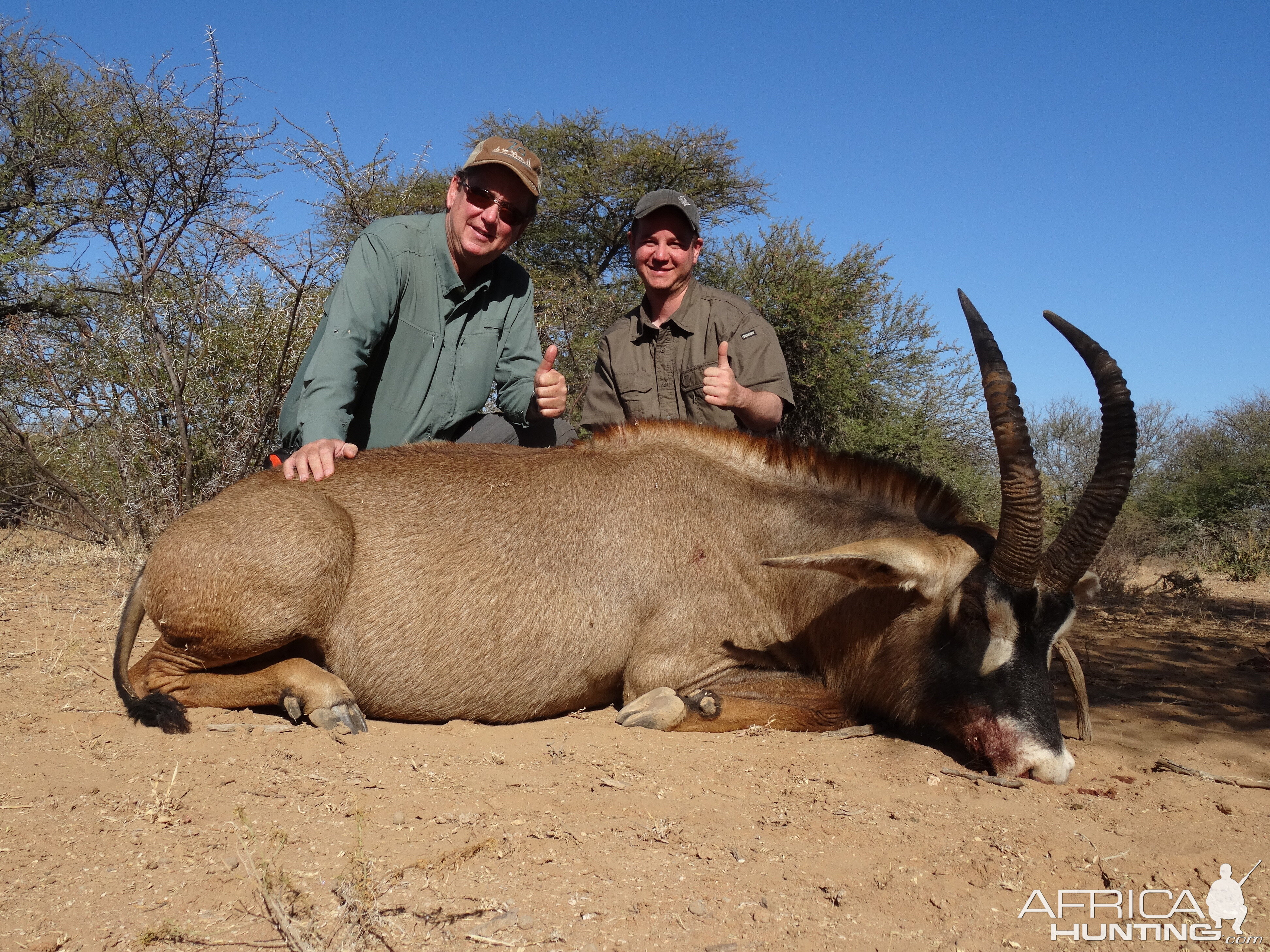 South Africa Hunting Roan